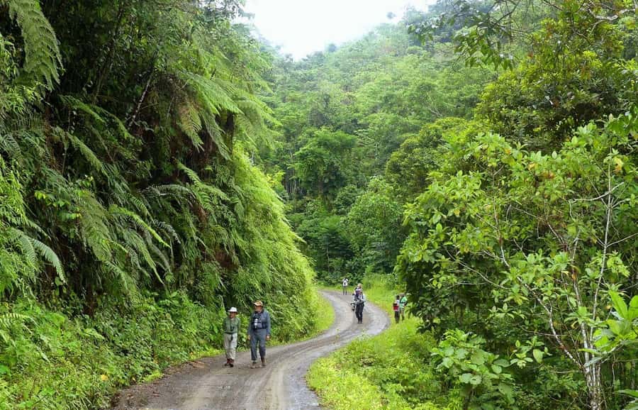 Living Nature from Cusco: 3 Days Manu Jungle all inclusive - Day two: From Pilcopata to a remote Amazon lodge