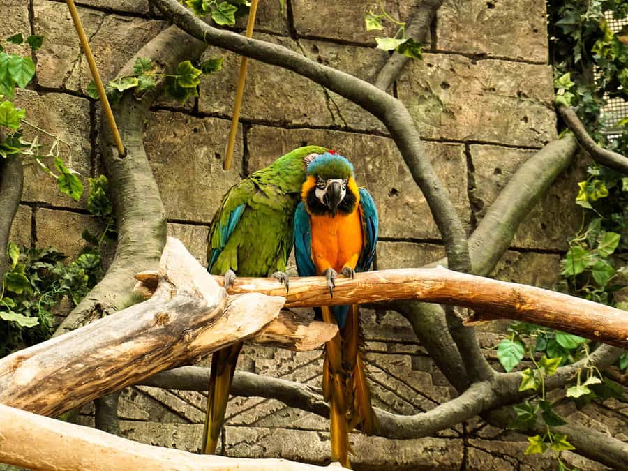 Living Nature from Cusco: 3 Days Manu Jungle all inclusive - Group size, guide support, and the pace of the trip