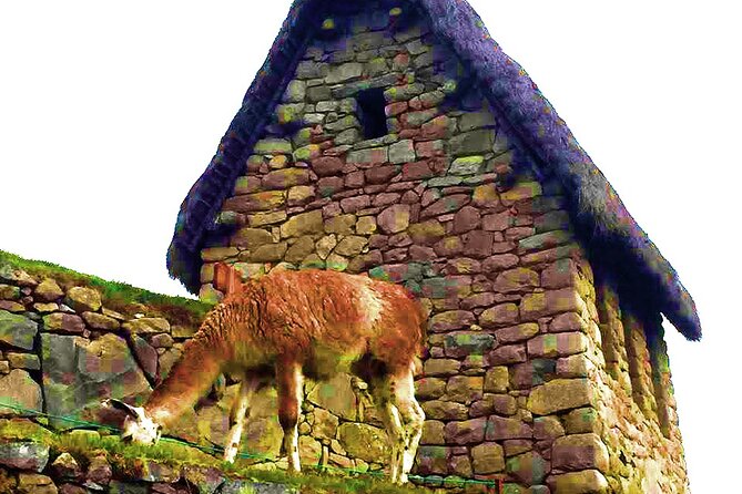 Machu Picchu 1 Day Tour from Cusco by Train - Returning to Cusco makes this a full endurance test