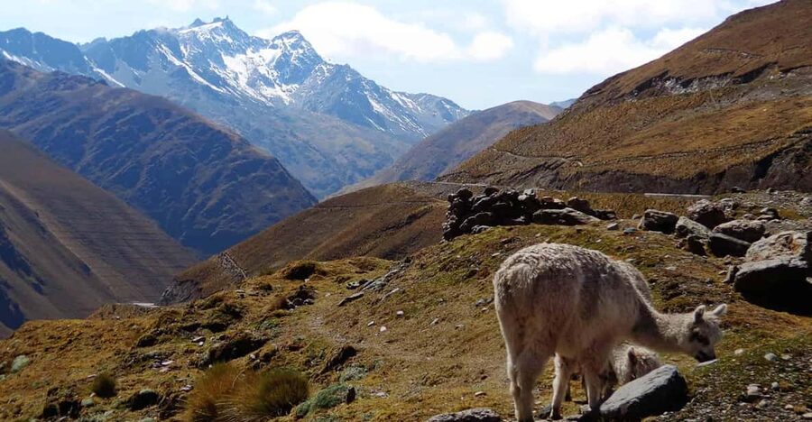 Machu Picchu 2 Days / 1 Night (By Bus) - Aguas Calientes to Machu Picchu before sunrise