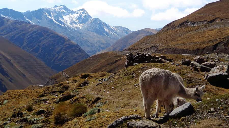 Machu Picchu 2 Days / 1 Night (By Bus) - Day one: Cusco to Abra de Malaga