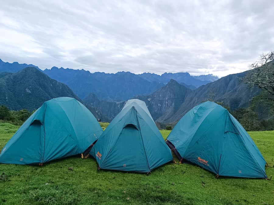 Machu Picchu: 5-Day Salkantay Trek with Panoramic Train - Food, support, and guide quality