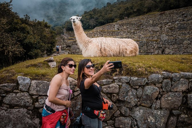 Machu Picchu Day Trip from Cusco - The train ride through the Andes