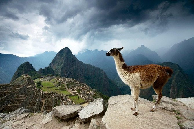 Machu Picchu Entrance Ticket - The two ways to see Machu Picchu