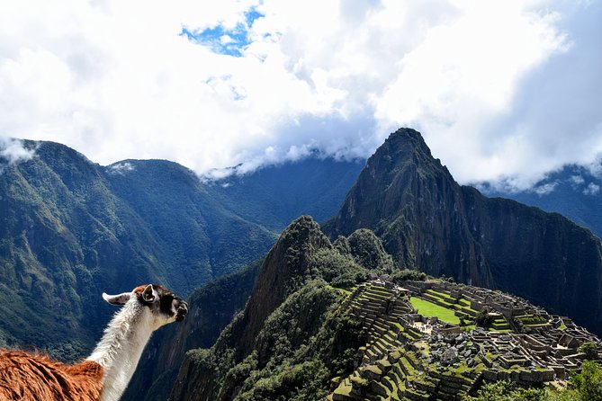 Machu Picchu Entrance Ticket - What the independent digital ticket feels like