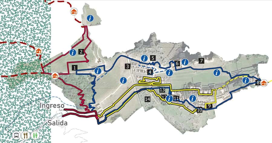 Machu Picchu Entry Ticket and Bus from Aguas Calientes - Why the self-guided format can work well