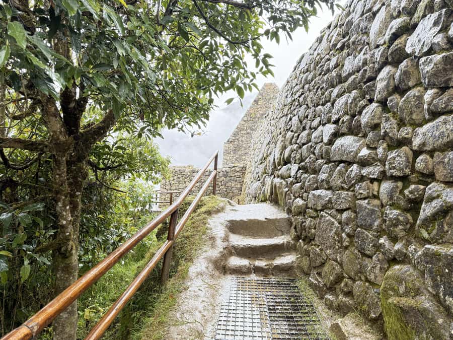 Machu Picchu Entry Ticket and Bus from Aguas Calientes - Who will like this experience most?