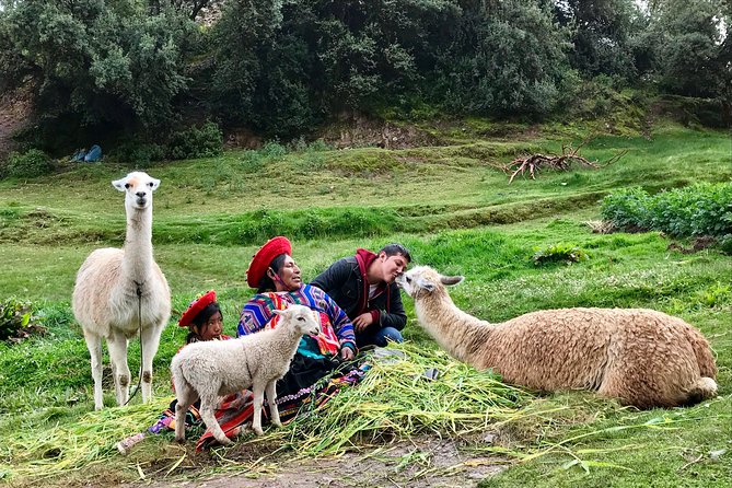 Machu Picchu Full Day from Cusco - The return journey needs careful attention