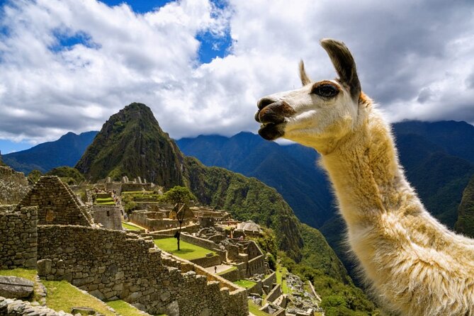 Machu Picchu Full Day with lunch by Aludi Travel - The long road from Cusco to the Inca citadel
