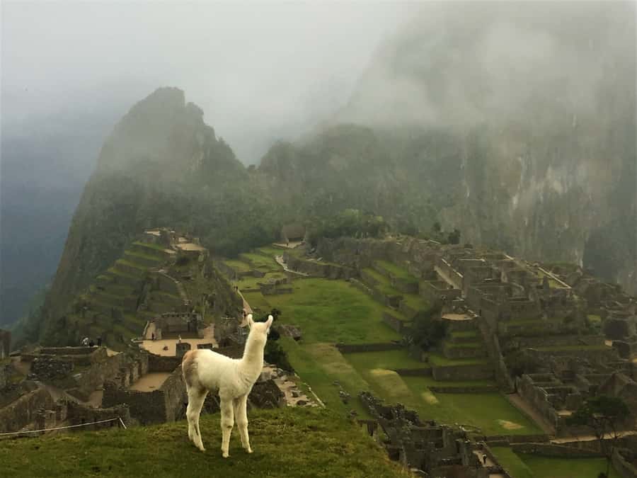 Machu Picchu: Private Tour Guide Service - Food, water, and small things to carry