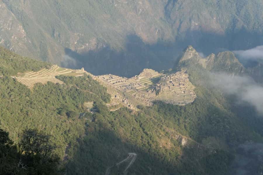 Machu Picchu: Private Tour Guide Service - Plants, wildlife, and the setting around the ruins
