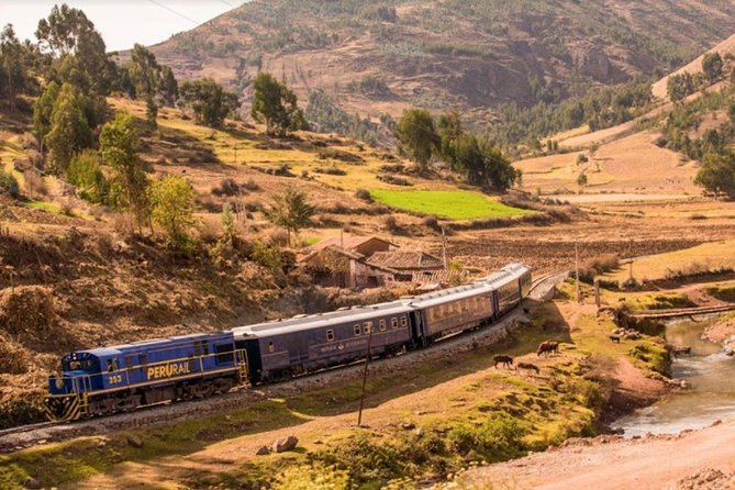 Machu Picchu Tour By Train (2 Days) - Group size, pace, and physical demands