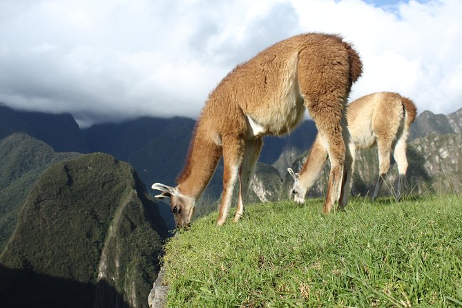 Machu Picchu Tour From Cusco Full Day - What the $425 cost includes and leaves out