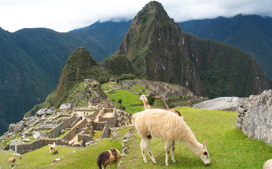 Machupicchu tour by tourist train in 2 days - What to pack for the two days