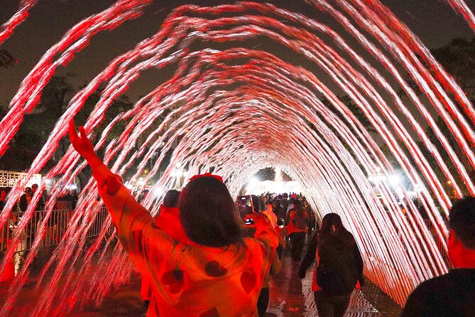 Magic Water & Laser Light Show Including Pickup And Drop-Off - Who should book this evening tour?