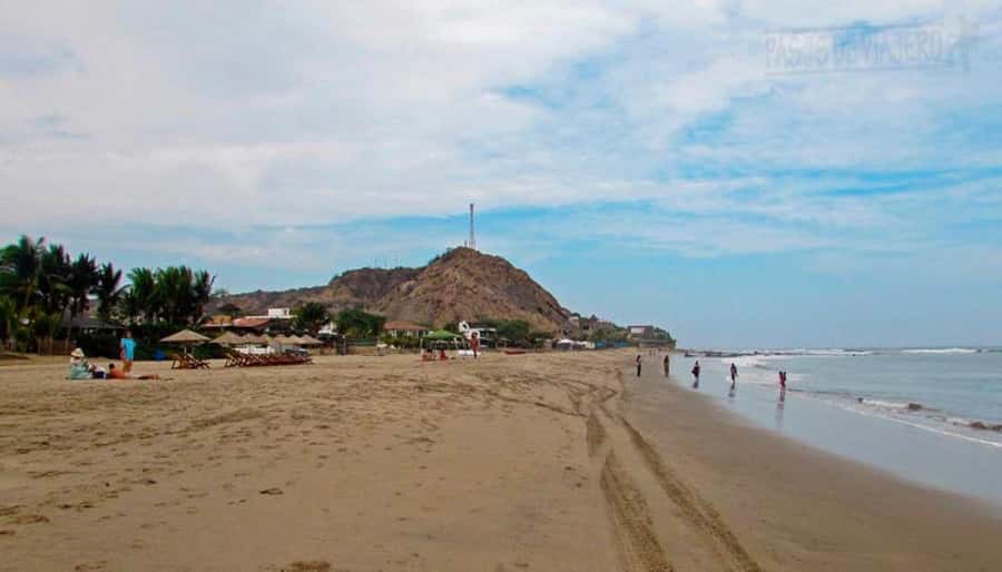Mancora: Beaches and Tumbes Mangroves Day Trip - The crocodile farm adds a memorable wildlife stop