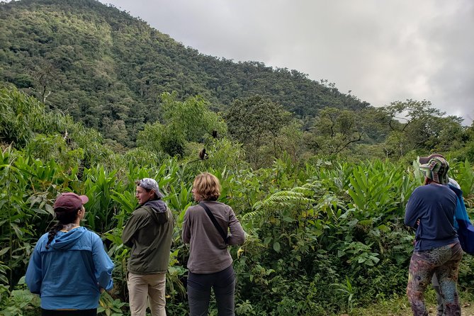 Manu National Park Tour 4days/3night - Birdwatching with a telescope