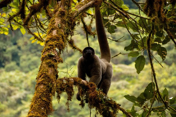 Manu National Park Tour 4days/3night - Who will enjoy this trip most