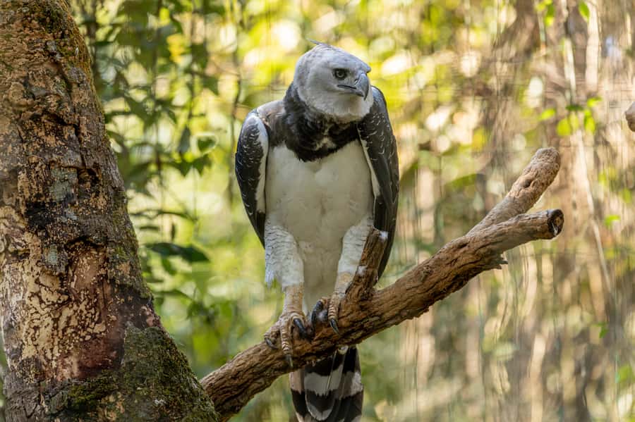Manu National Park Tours from Cusco 5 Days - Key points to know before booking