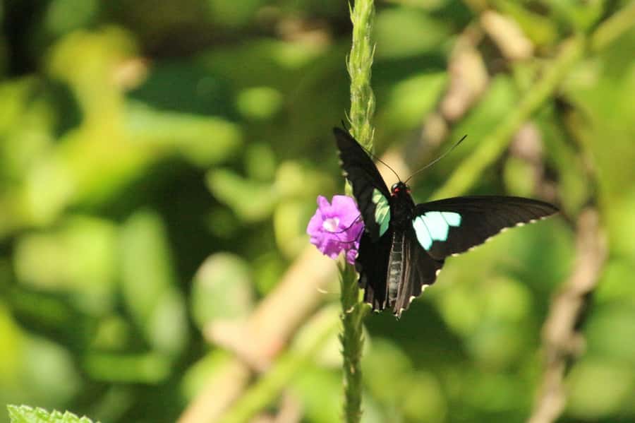 Manu National Park Tours from Cusco 5 Days - The main practical concerns