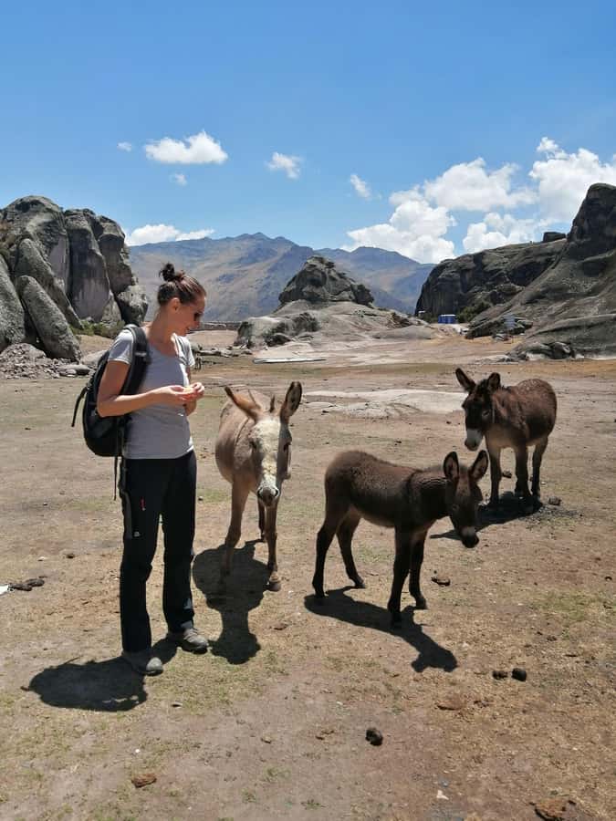 Marcahuasi Experience in Lima - A 2.5-Hour Walk Among Strange Rock Shapes