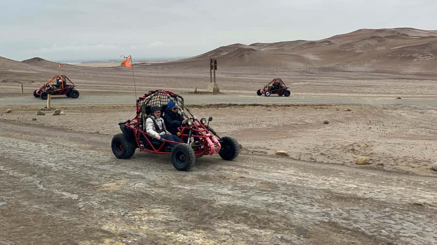 Mini Buggy GO KART in Paracas National Reserve - Key points to know before you book