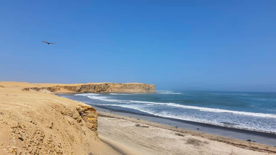 Mini Buggy GO KART in Paracas National Reserve - The upper viewpoint: desert meeting the ocean
