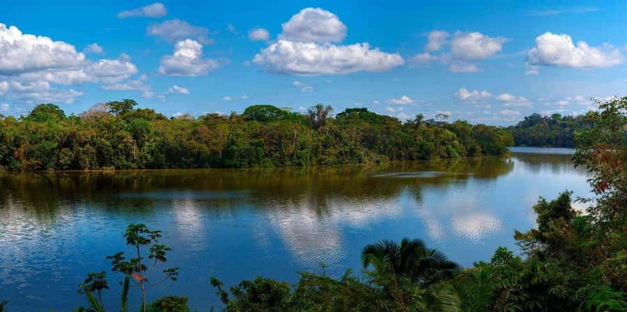 Monkey Island + Lake Sandoval 2D/1N - Walking beneath old trees in Tambopata