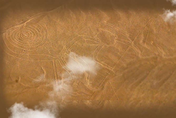 Nazca Lines and Dune Buggy (Huacachina) from Ica - Seeing the Nazca Lines from a small aircraft