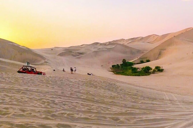 Nazca Lines and Dune Buggy (Huacachina) from Ica - Dune buggy thrills and sandboarding practice