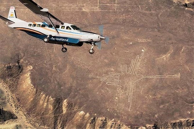 Nazca Lines and Huacachina Oasis from Lima - The Nazca Lines flight is worth the long road