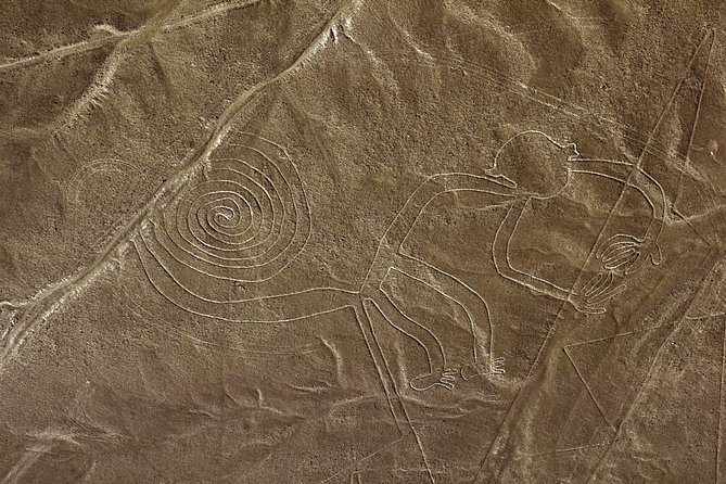 Nazca Lines & Ballestas Islands Private Tour Bus&Flight from Lima - The Nazca Lines flight from Pisco