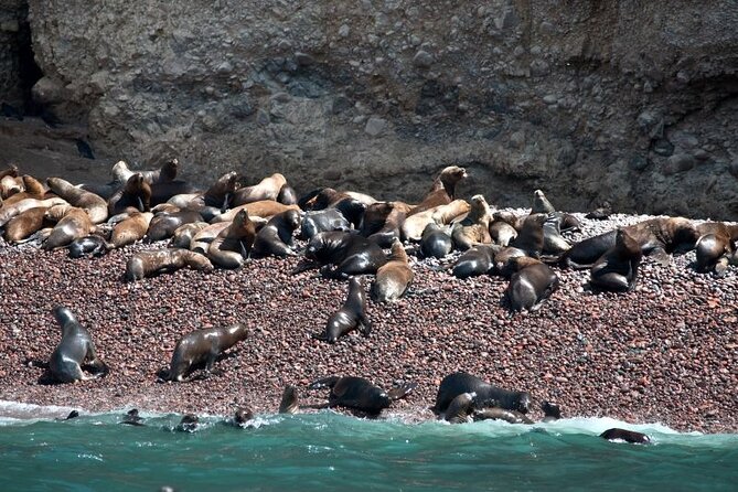 Nazca Lines & Ballestas Islands Private Tour Bus&Flight from Lima - Before dawn: leaving Lima for Paracas