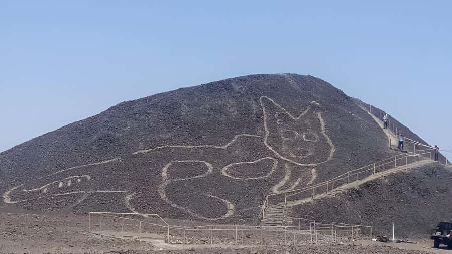 Nazca: Maria Reiche Museum and Nazca Lines Viewpoint Tour - Why this three-hour Nazca outing works