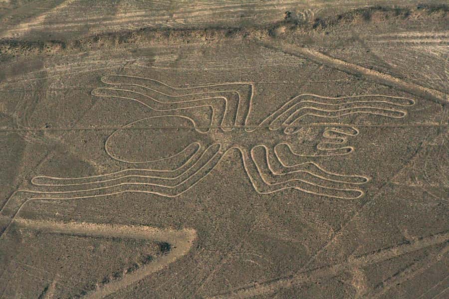 Nazca: Maria Reiche Museum and Nazca Lines Viewpoint Tour - Is $52 a fair price?