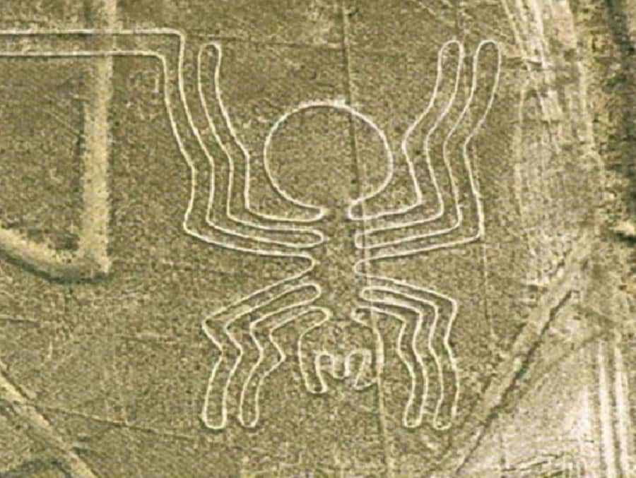 Nazca: Maria Reiche Museum and Nazca Lines Viewpoint Tour - Should you book it?