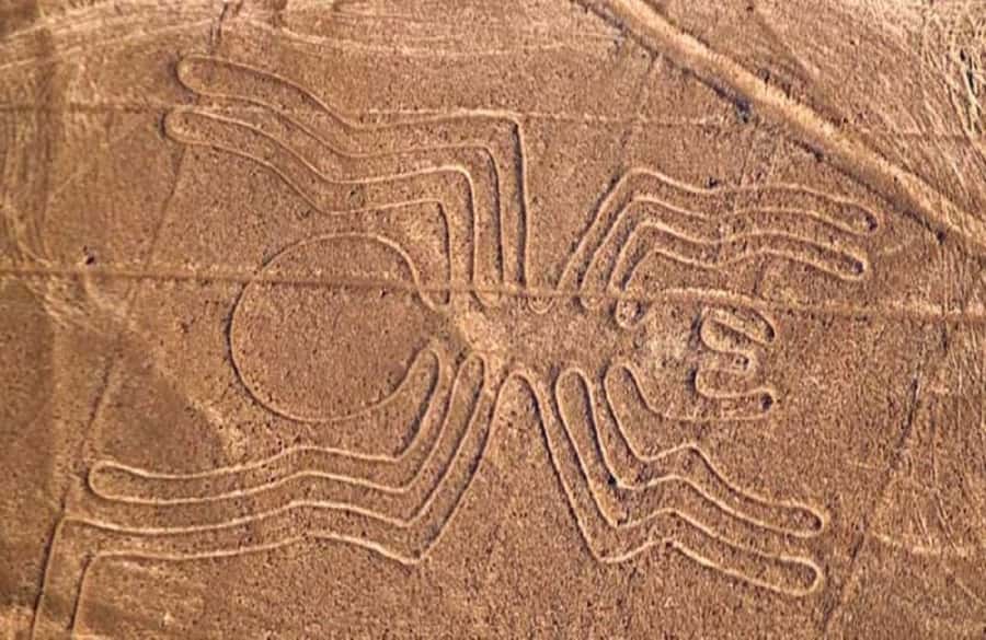 Nazca: Overflight of the Nazca Lines - Why the Nazca Lines are worth seeing from the air
