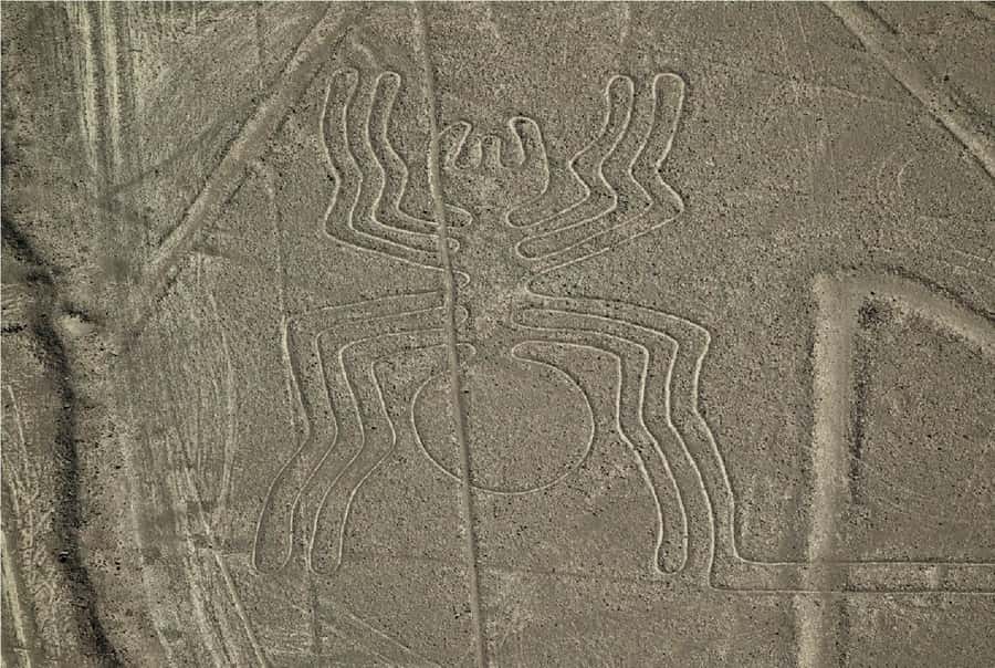 Nazca: Overflight of the Nazca Lines - The figures you will try to spot