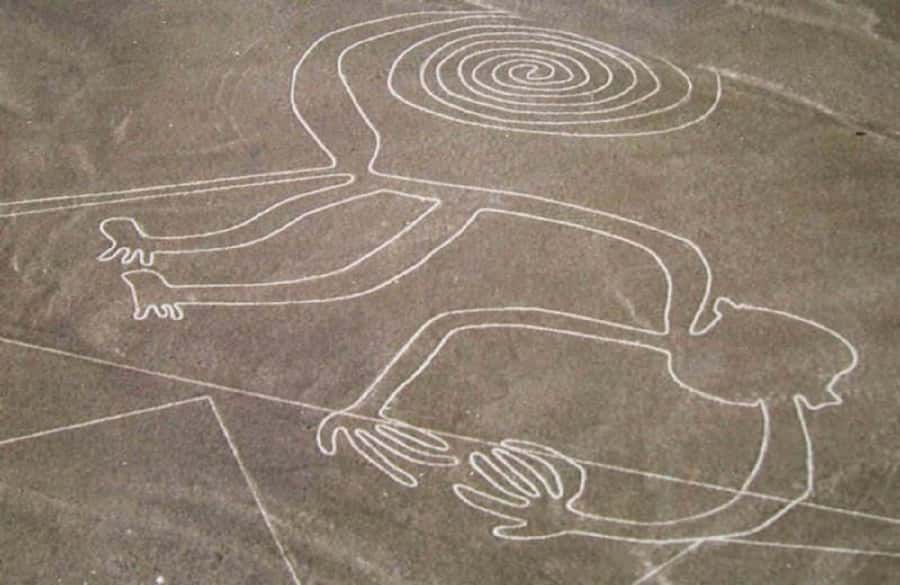 Nazca: Overflight of the Nazca Lines - Guide support and the value of the briefing