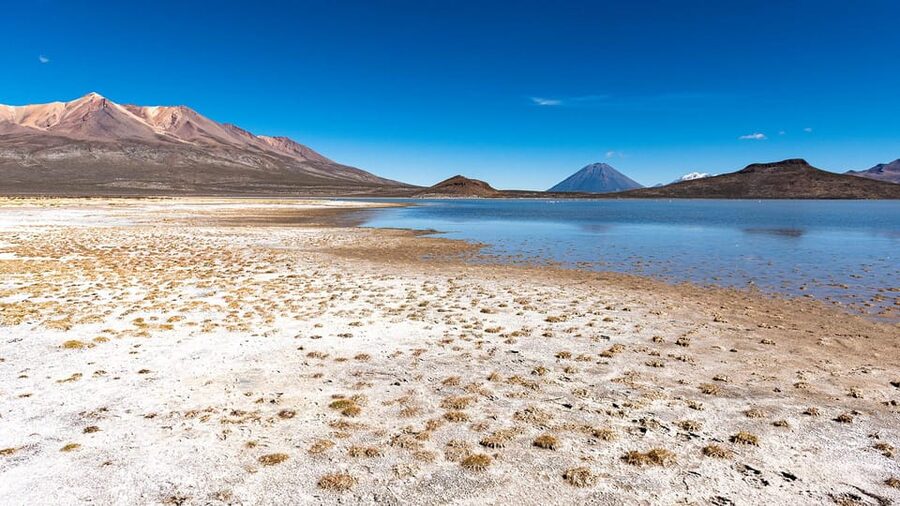 Offer Price Tour Salinas Lagoon and National Reserve 8 hours - What the $20 price really covers