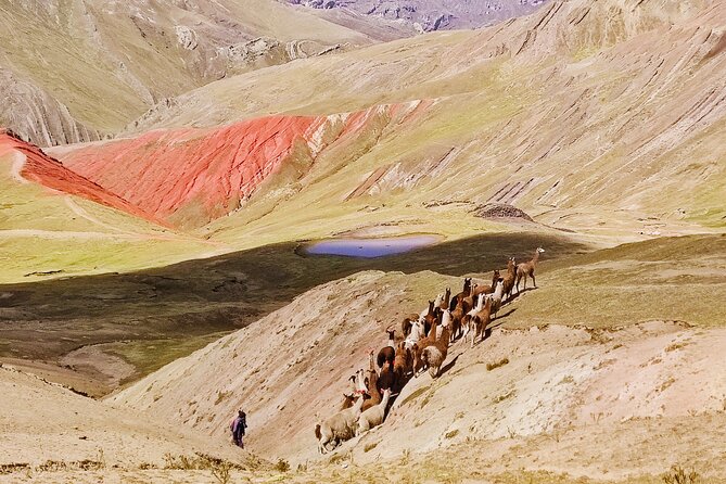 Palccoyo Rainbow Mountains Full Day Tour from Cusco - What the $56.05 price really covers