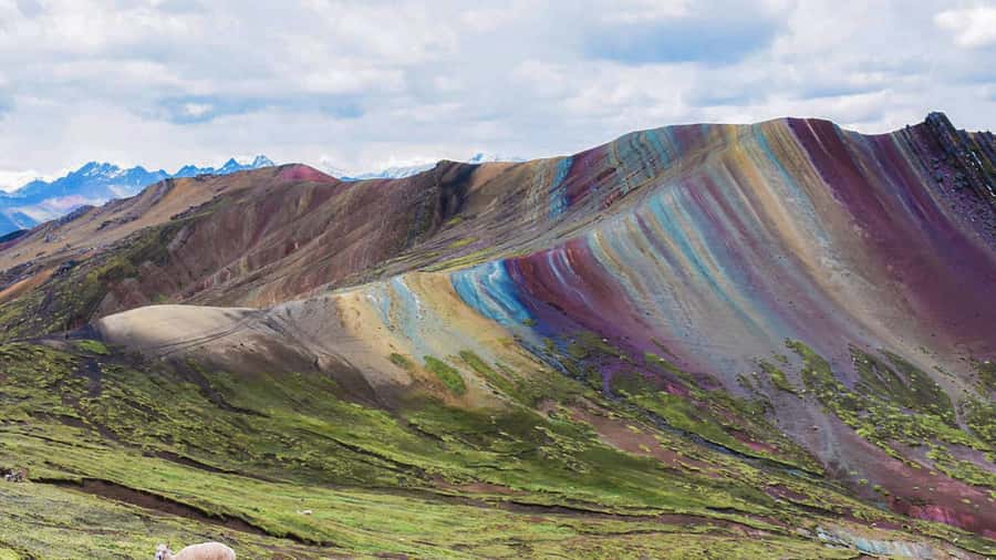 Palcoyo colored mountain hike + stone forests - Key points to know before booking