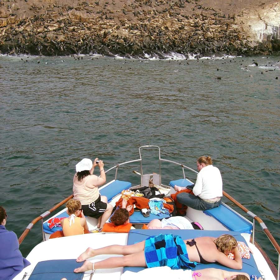 Palomino Islands Yacht Tour and swim alongside the sea lions - Starting in Lima and heading to Callao