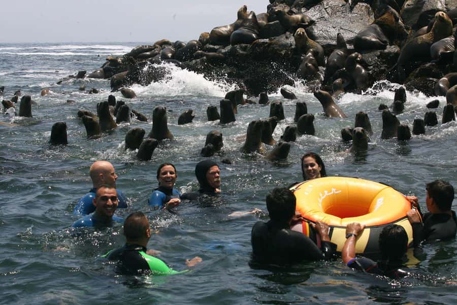 Palomino Islands Yacht Tour and swim alongside the sea lions - San Lorenzo Island and the old prison island view
