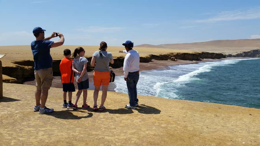 Paracas: Ballestas Island & Nature Reserve all inclusive - What makes this Paracas tour worth your time
