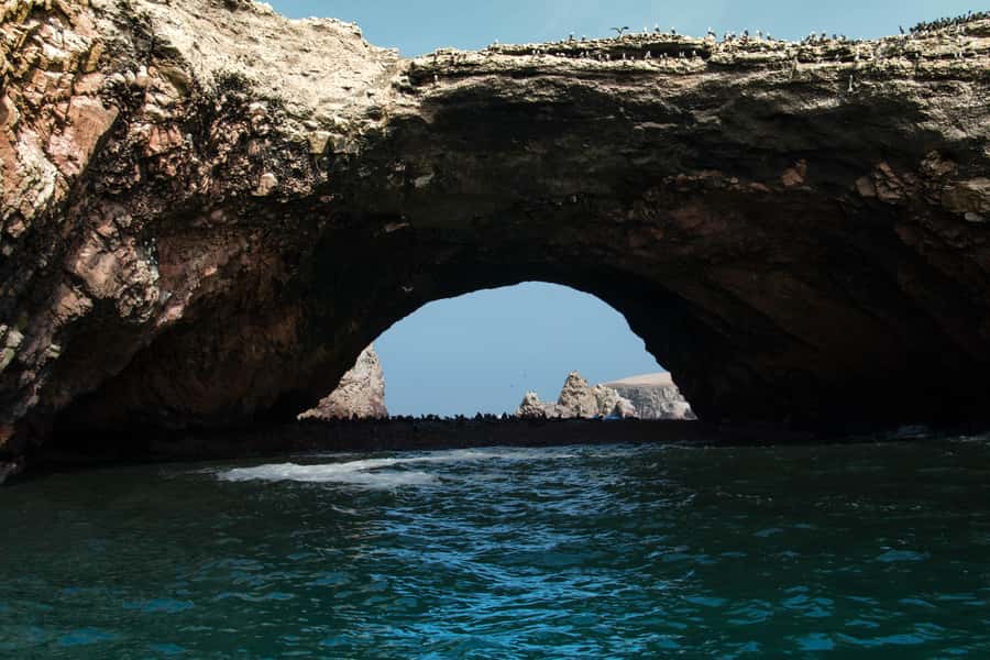 Paracas: Ballestas Island & Nature Reserve all inclusive - Should you book the Ballestas Islands and Paracas Reserve tour?