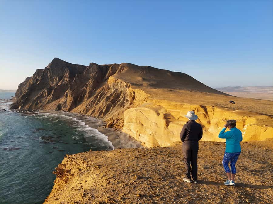 Paracas: Ballestas Island & Nature Reserve all inclusive - Ballestas Islands gives you Peru’s wild side first