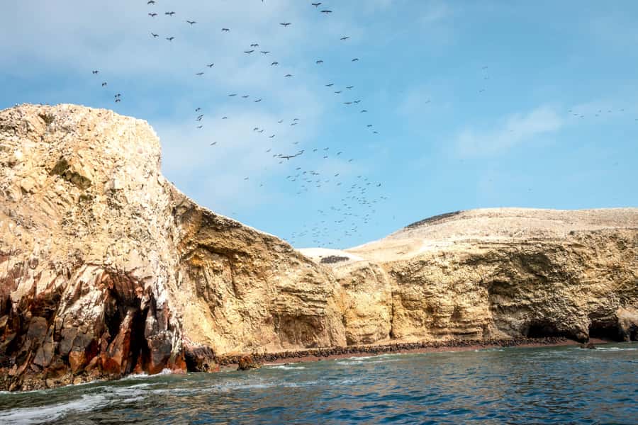 Paracas: Ballestas Island & Nature Reserve all inclusive - What the $60 price really covers