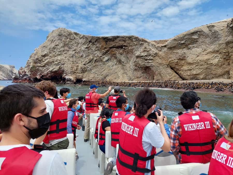 Paracas: Ballestas Island & Nature Reserve all inclusive - Guides, group size, and the pace of the day