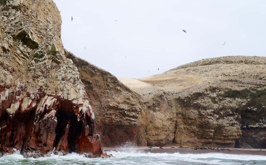 Paracas: Ballestas Islands and Candelabra of Paracas Boat - Why the Candelabra makes a strong opening